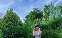 法相仙途txt下载